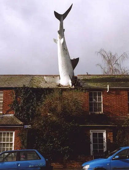 Headington shark in roof