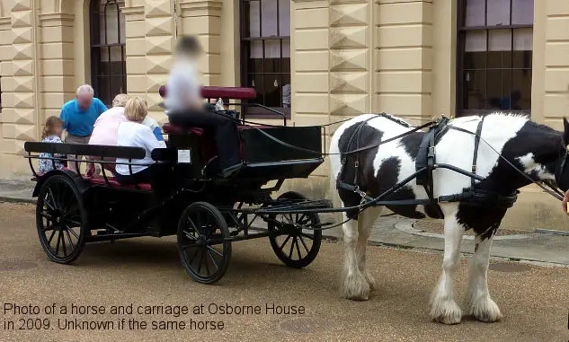Horse and Carriage Osborne House - tipsfortravellers - Unknown if same horse