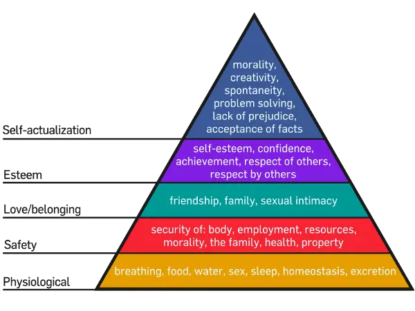 Maslow's Hierarchy of Needs :