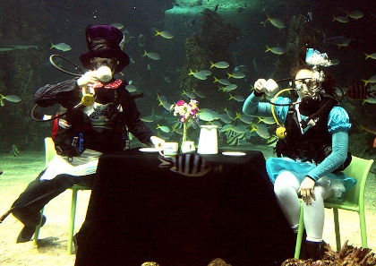 Mat Hatters tea party underwater