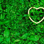 Earth day green heart :