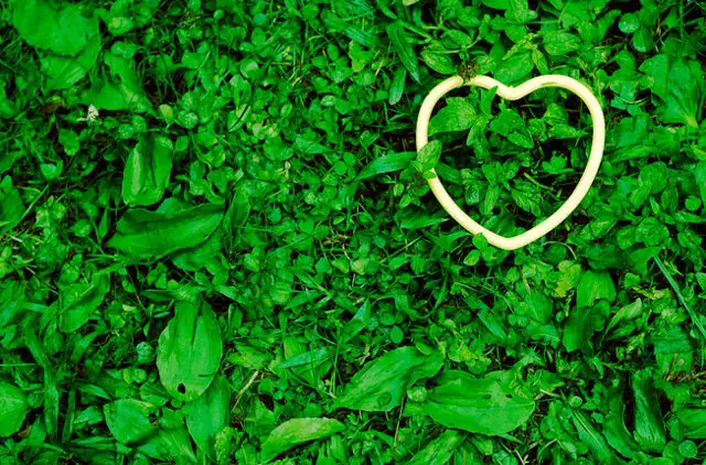 Earth day green heart :
