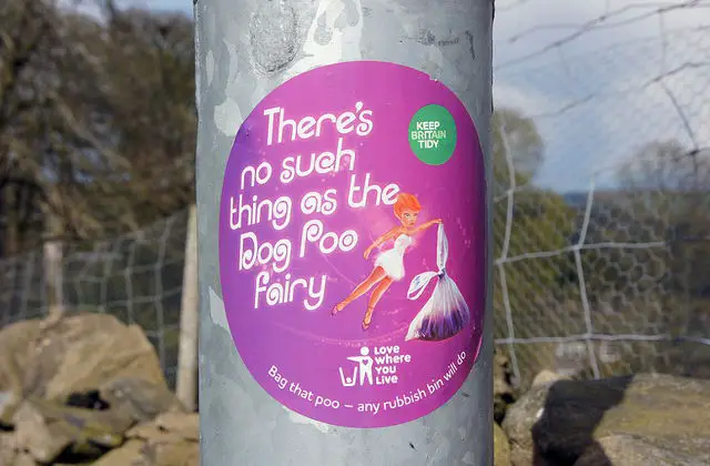 Dog poo fairy poster