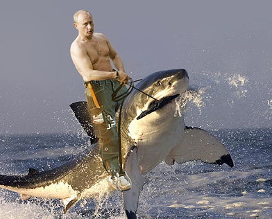 Putin riding a shark