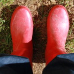 Red Wellies