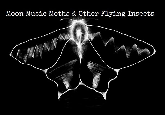 moon, music, moths poster