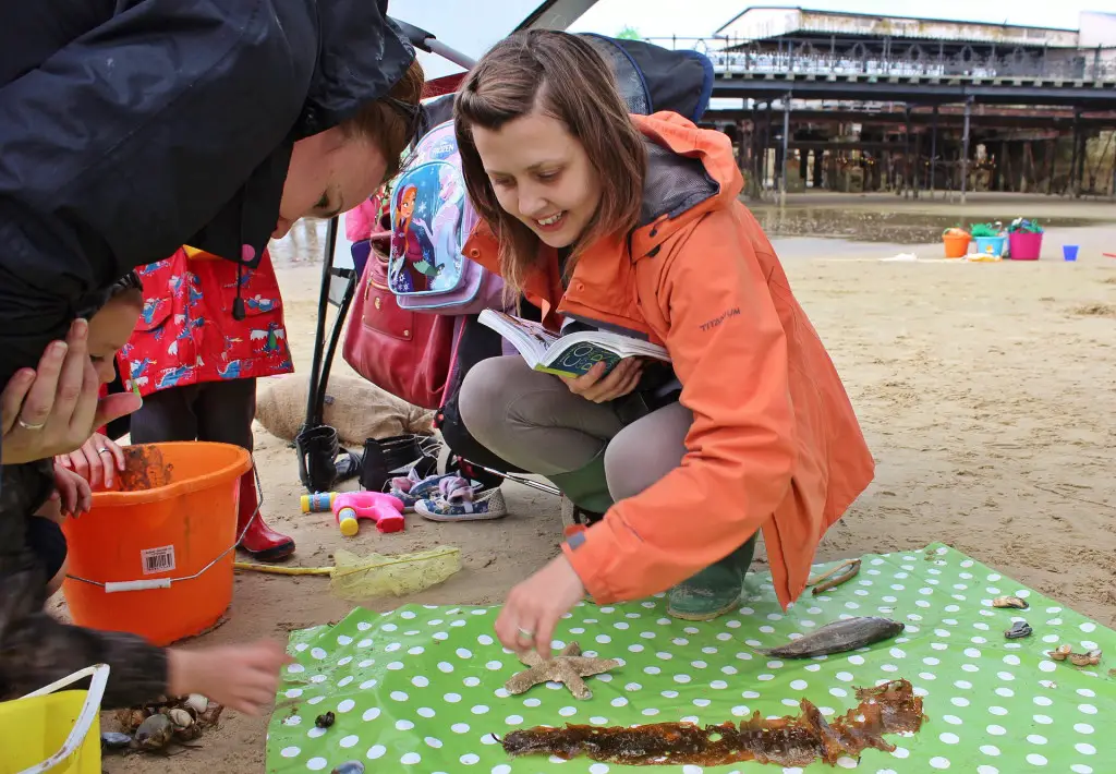  Tina Whitmore helps everyone identify seaweeds and shells