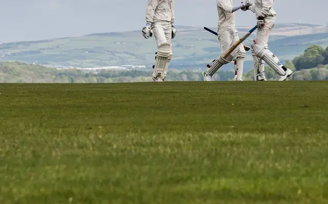 cricket on a hill