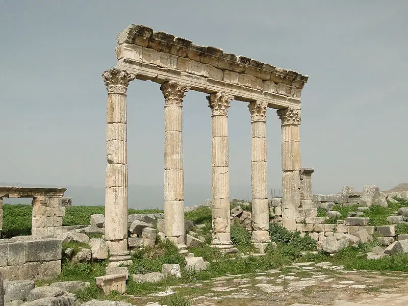 Apamea  Fluted columns