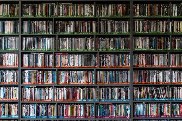 DVD library shelves