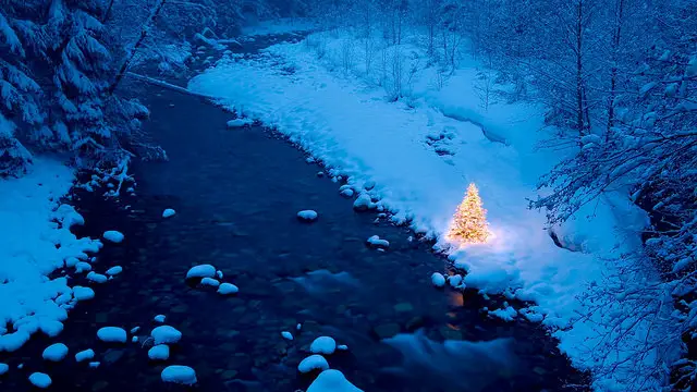 Riverside Christmas Tree 