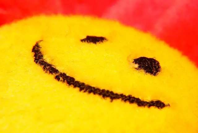 smiley sponge