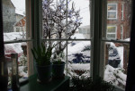 snowy window by ray harrington vail