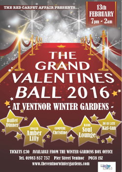 Valentines' ball poster