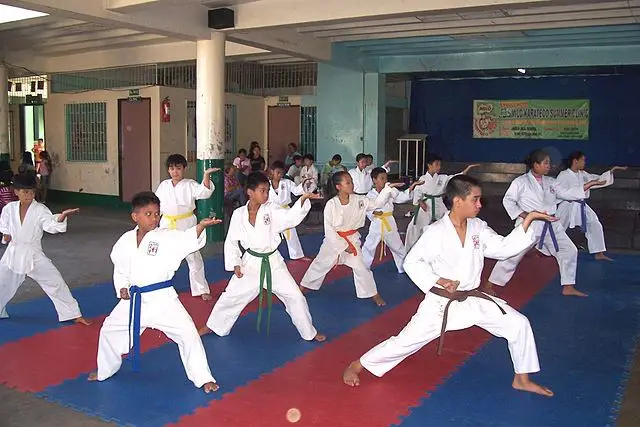 karate kids 