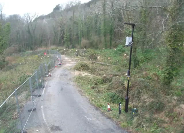 Trees being felled on Undercliff Drive