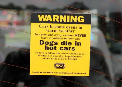 rspca pet warning