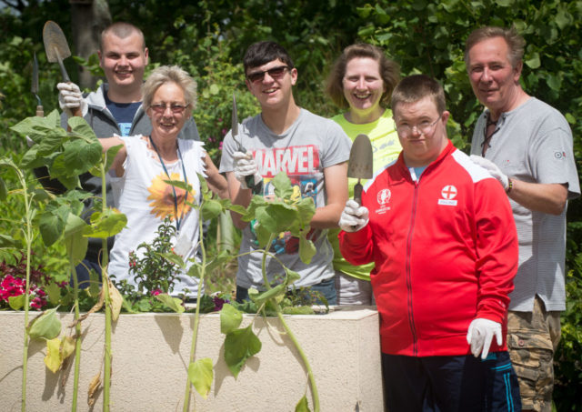 Josh, Sue, Luke, Coral, Daniel and Bob by Stephanie Mackrill