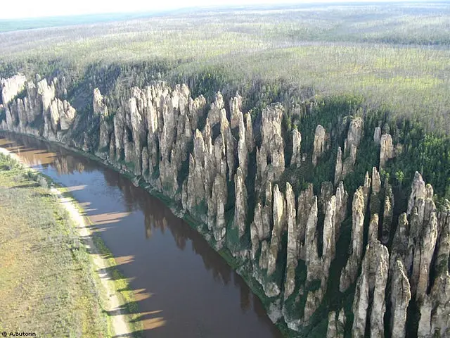 stone forest 