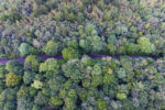 firestone copse from the air