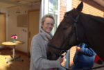 carol at the hospice with horse