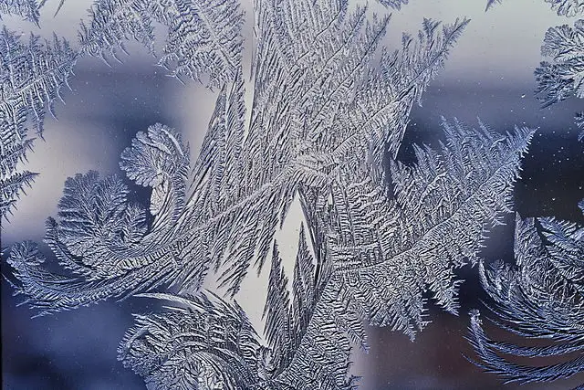 frost patterns