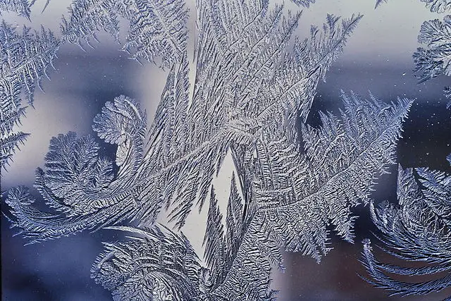 frost patterns