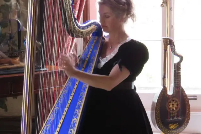 harp-lute-arlington