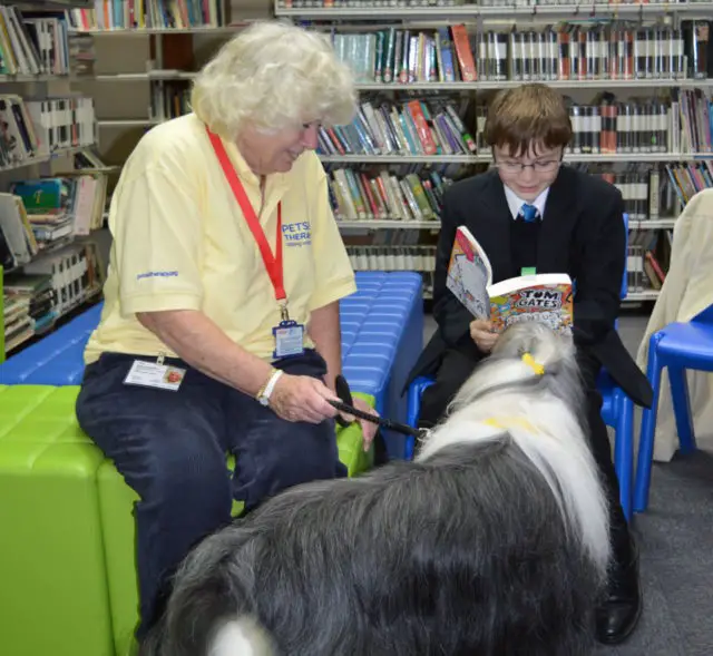 Nathan reading to Toby and Tricia Owen (his owner)