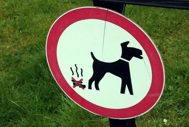 dog fouling sign
