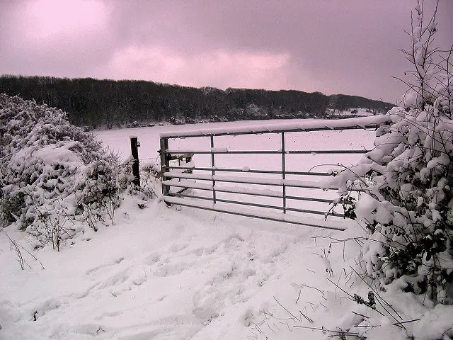 Snow on the Isle of Wight