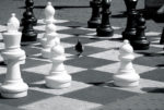 pigeon playing chess