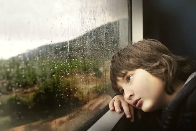 child looking out of window