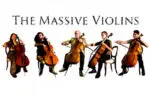 massive violins