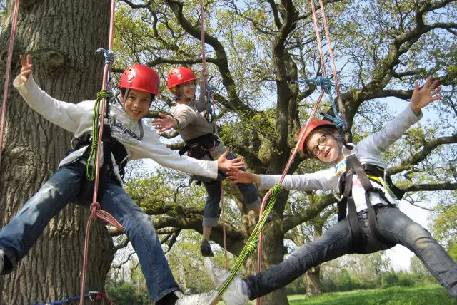tree climbers