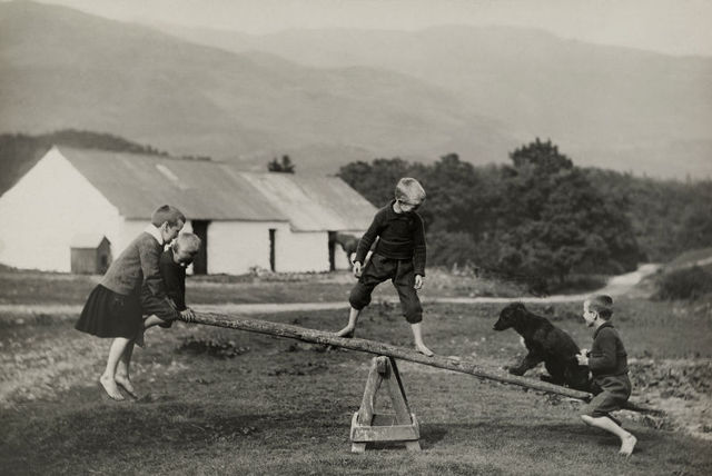 A_dog_plays_on_a_seesaw_with_children_in_Scotland