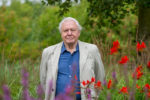 Sir David Attenborough launches the Big Butterfly Count 2015, at London Wetland Centre, on 17 July 2015.