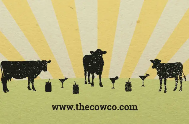 Cow Co Tapnell Farm Sundowners event