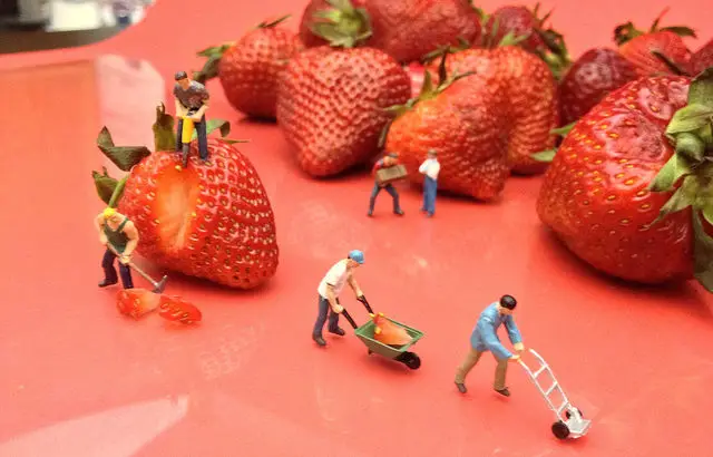 strawberries and little people 