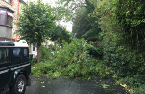 Trinity Road Ventnor - Tree Down - Aug 2017