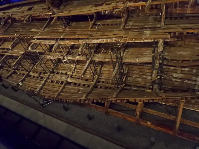The mary rose