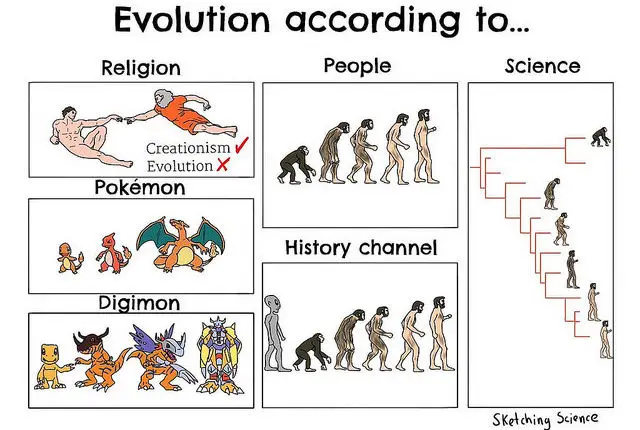 evolution chart