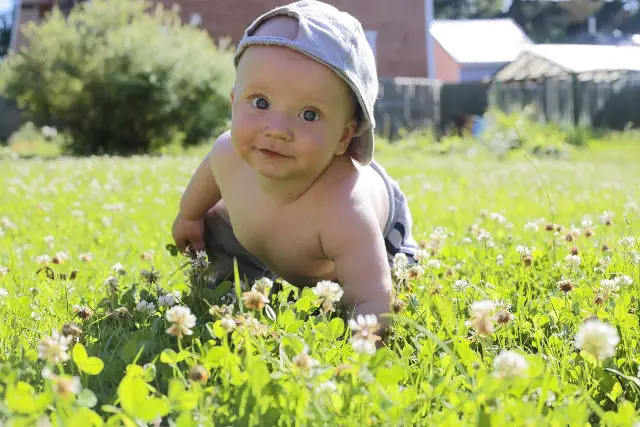 baby crawling in grass 