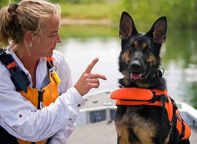 Search and Rescue Dogs Train in Indiana Waters 