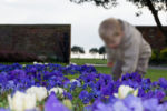child and flowers