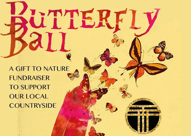 butterfly ball poster