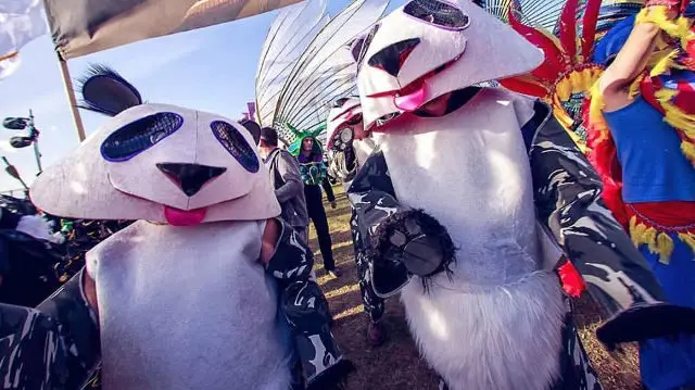 pandas for one life festival