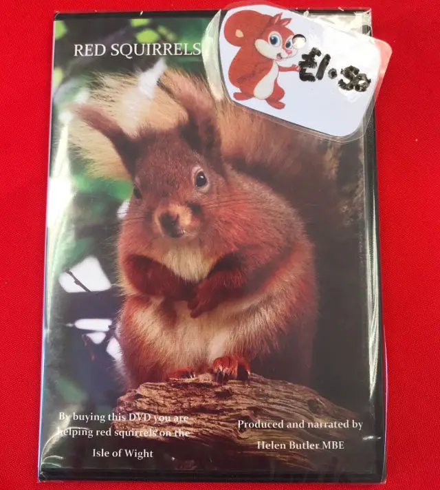 Red Squirrel Dvd - Isle Of Wight News From Onthewight