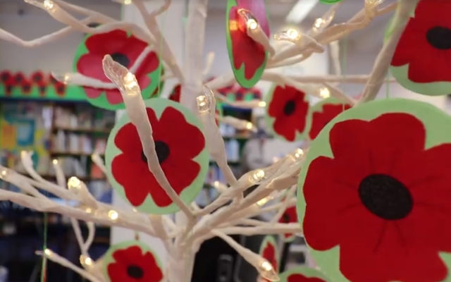 poppies at ryde library