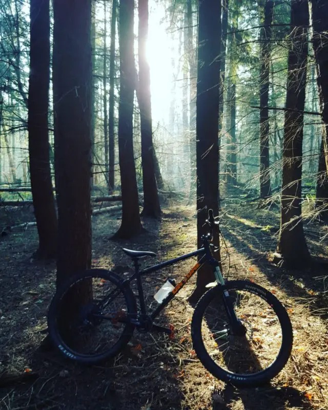 Mountain biking in the woods by Ethan Drummond-Harris
